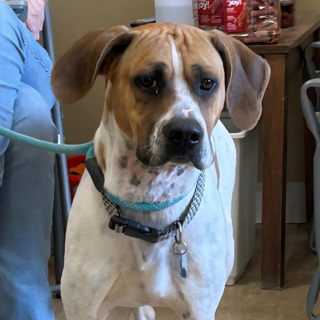 DUDLEY
