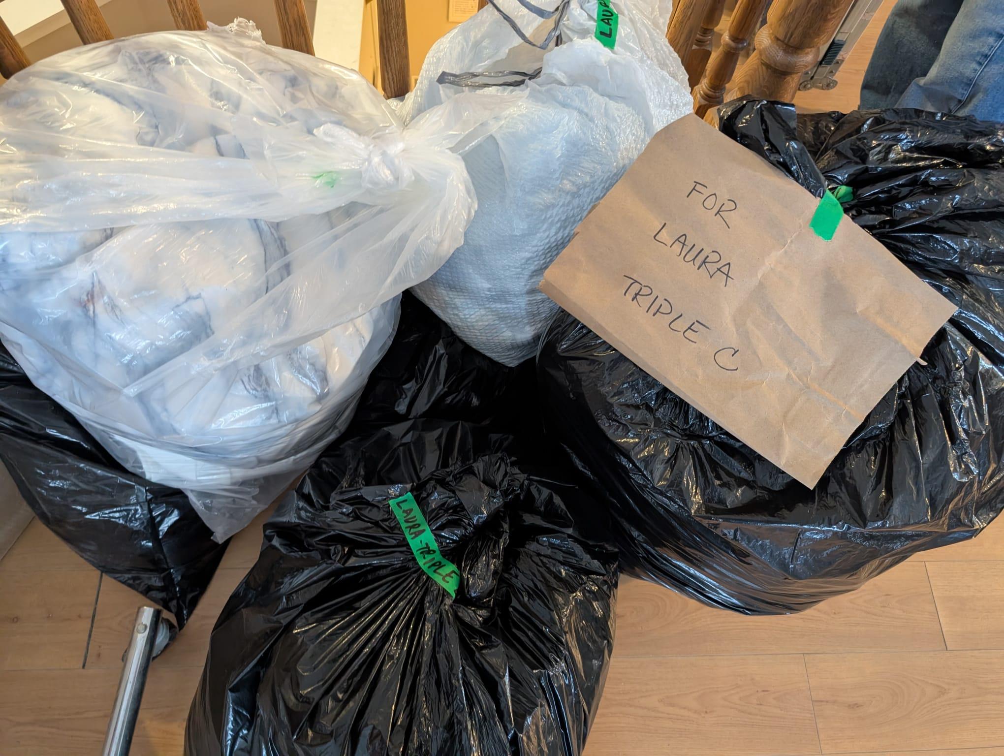 Enlarge Leela, a hold Dilute Tortoiseshell in Waterdown, ON image 2/5