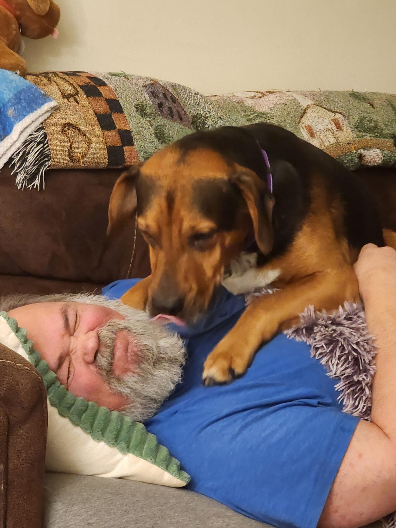 Enlarge Donatello aka Donnie, a ADOPTABLE mixed breed in Bowdoin, ME image 3/5