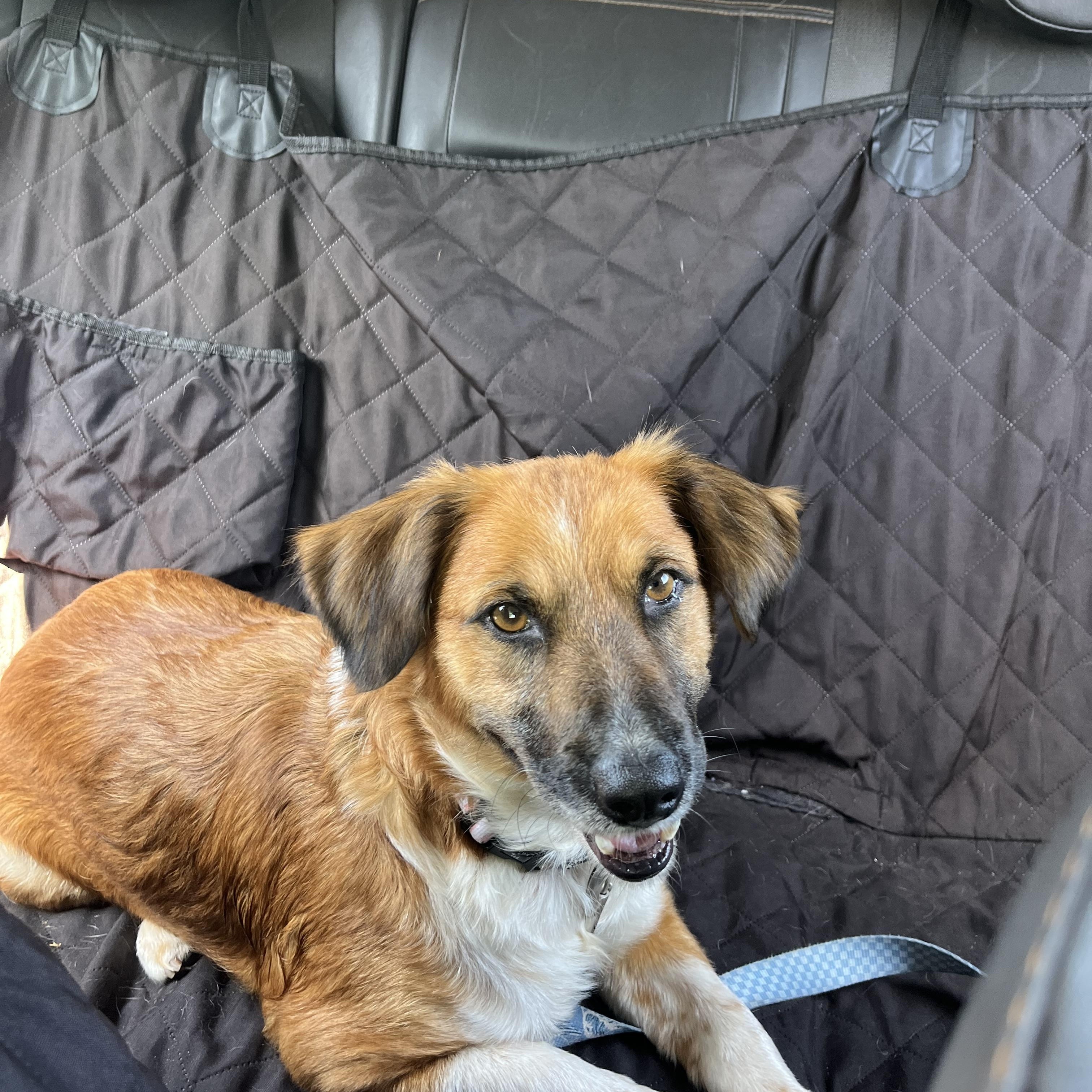 Kona