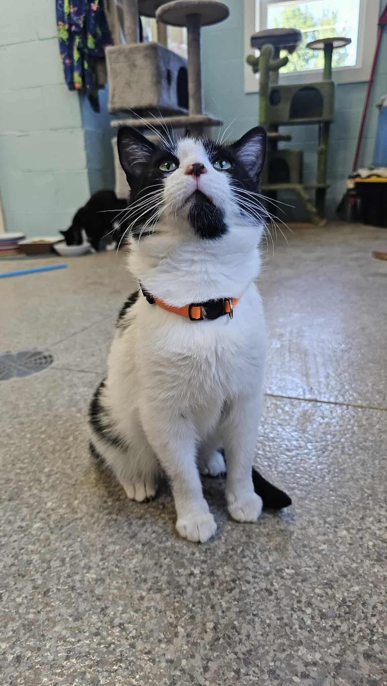 Milo