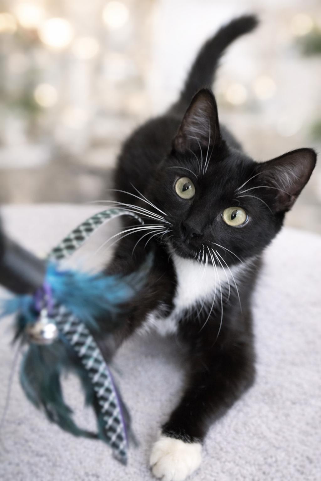 Susie — thumbnail 5