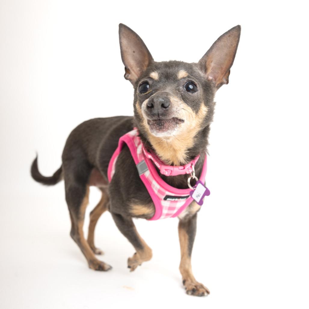 Mei 13830 — thumbnail 3