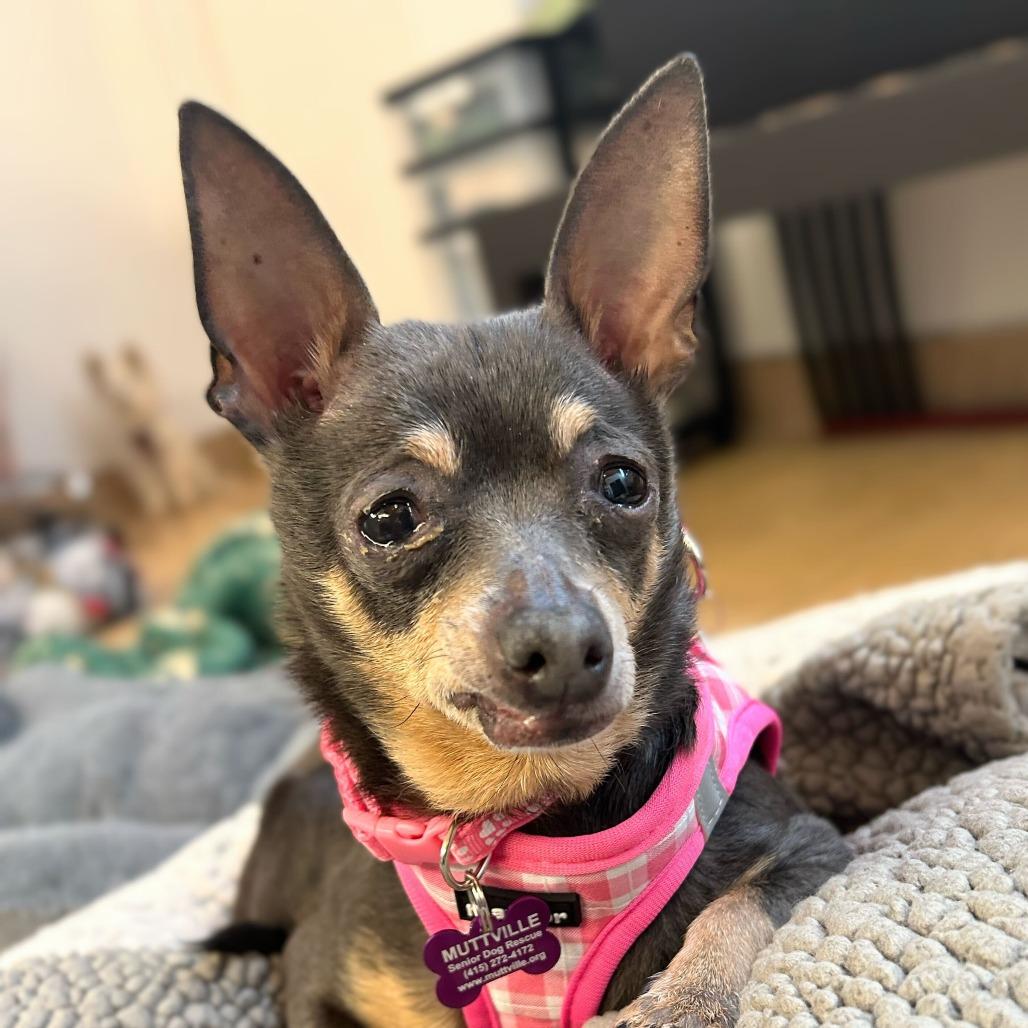 Mei 13830 — thumbnail 4