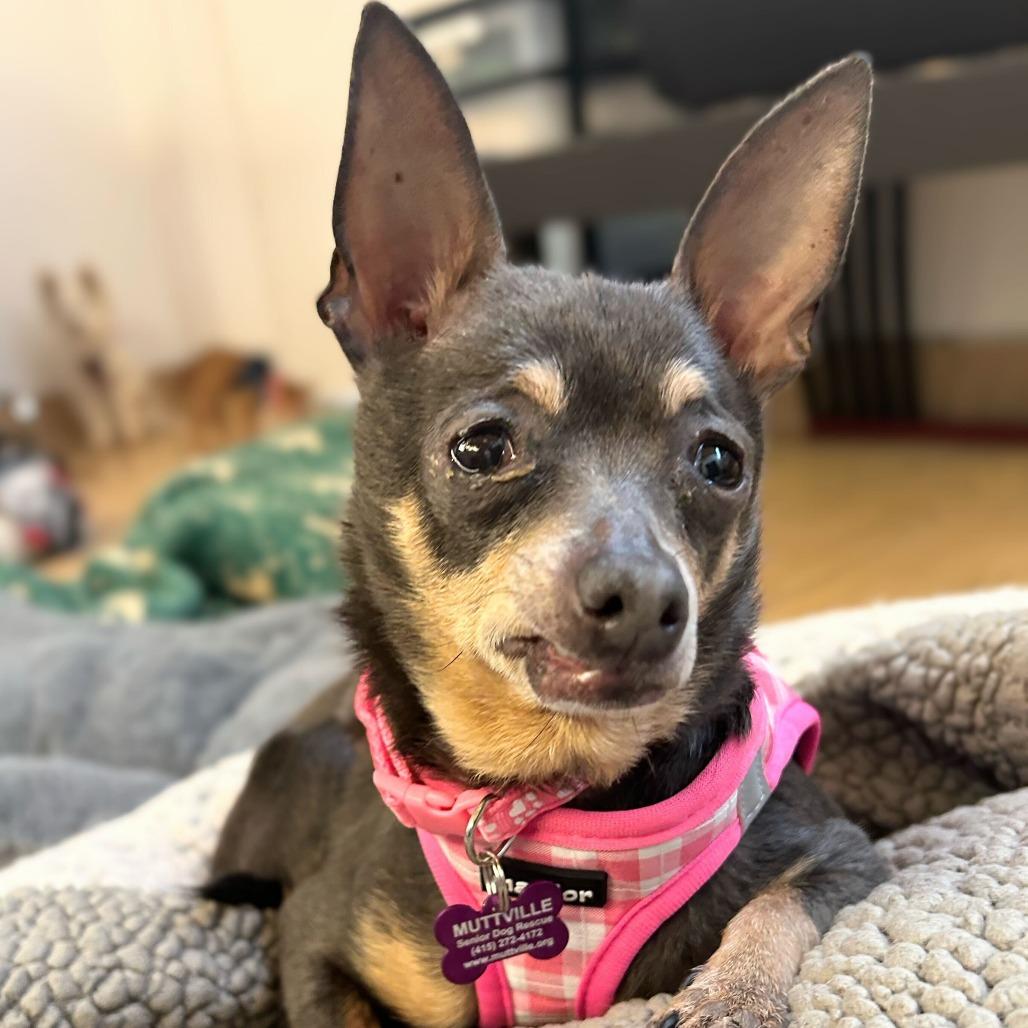 Mei 13830 — thumbnail 5