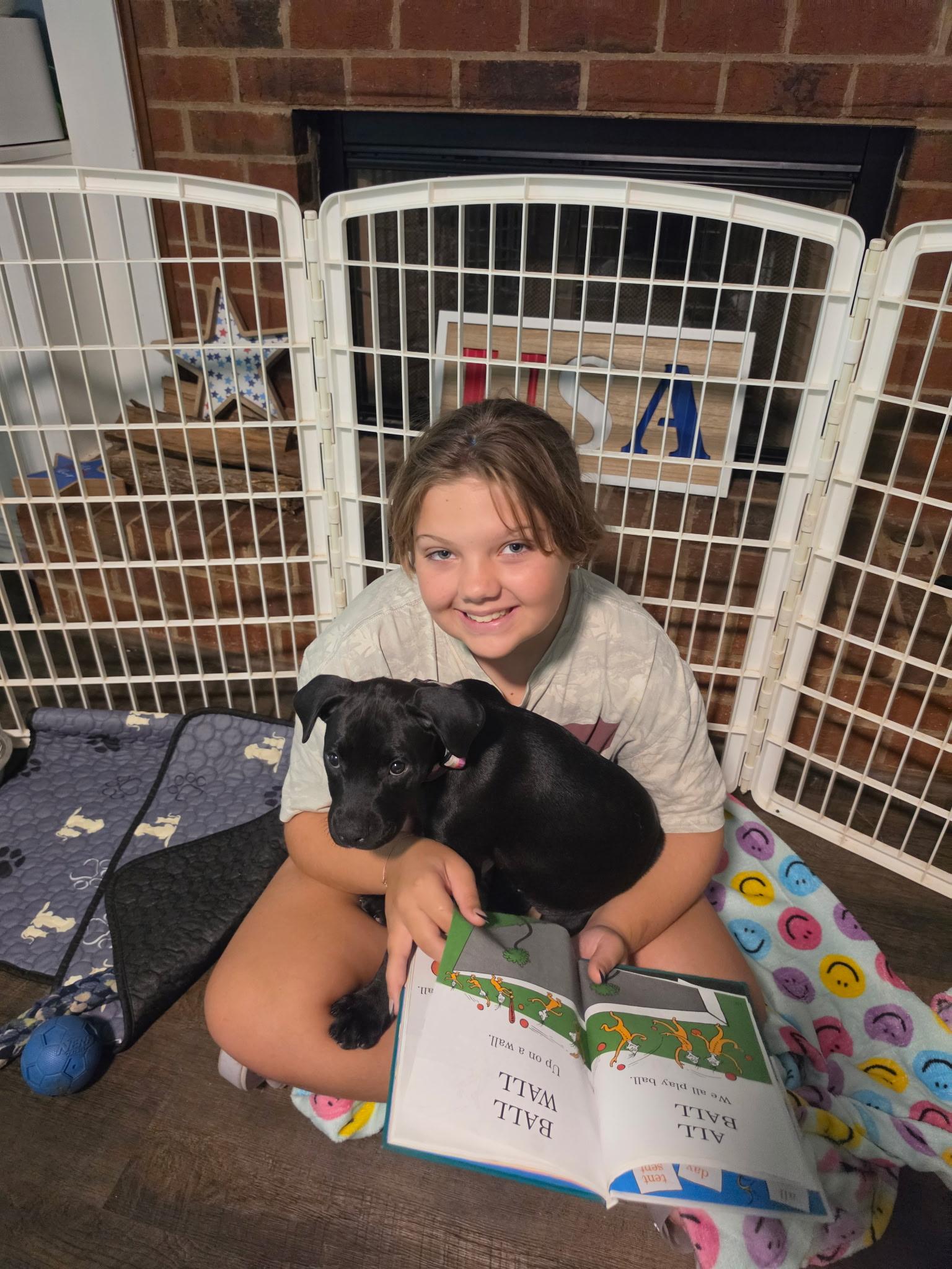 Poppy, a Adoptable mixed breed in Marietta, GA image 4/6