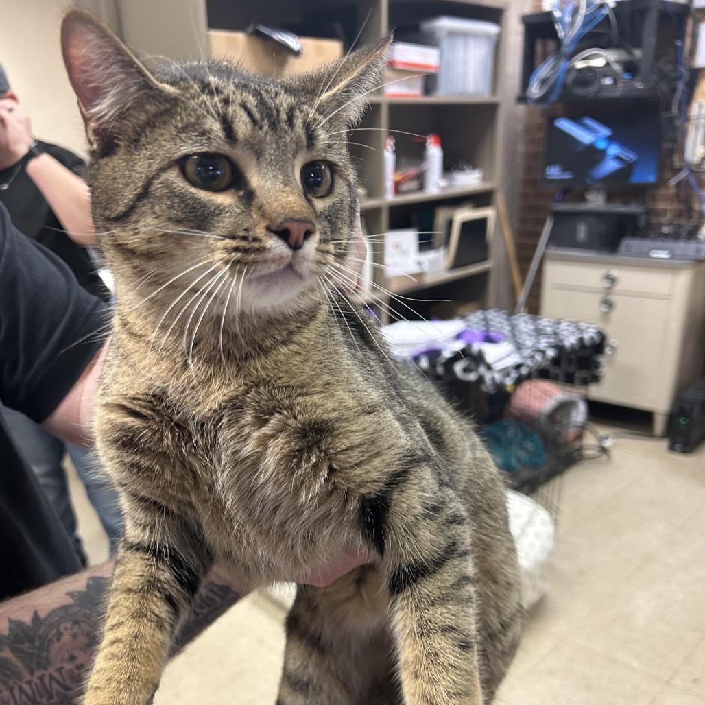 Kobe — thumbnail 3