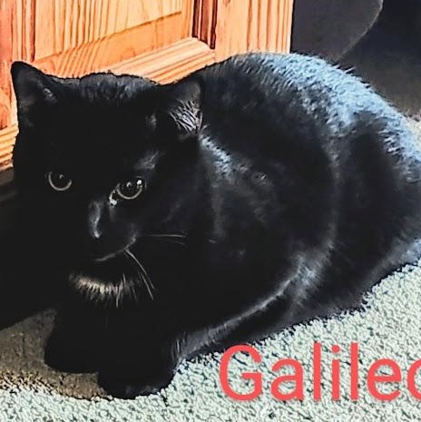 Galileo