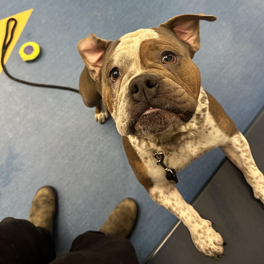 Jelly Roll thumbnail 2