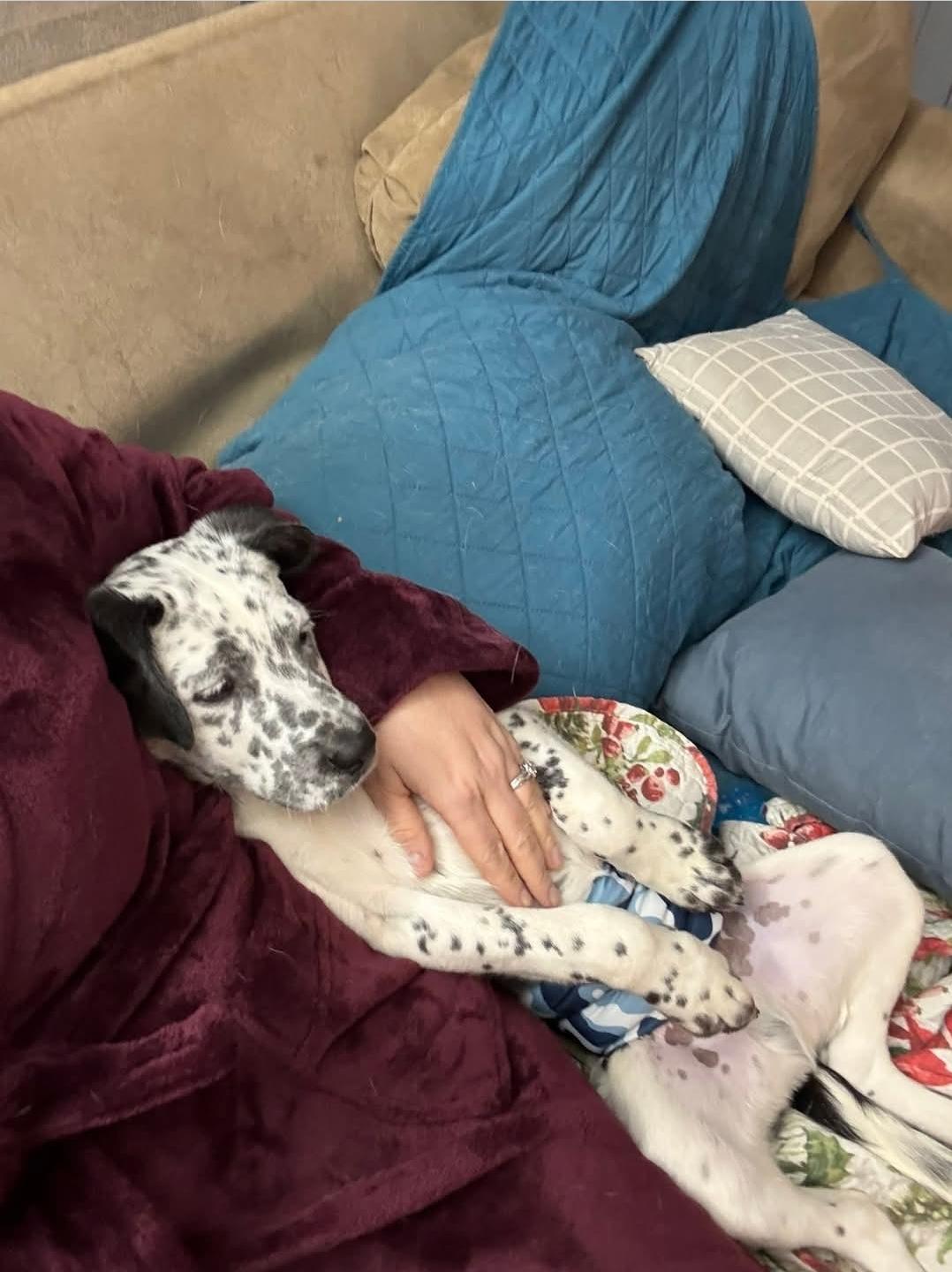 Hercules thumbnail 5