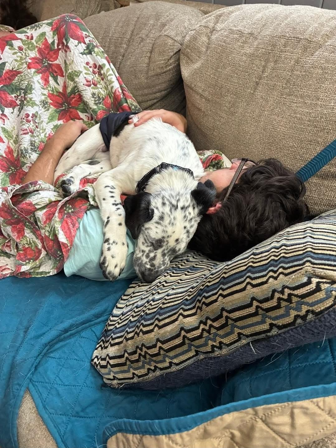 Enlarge Hercules, an adopted mixed breed in Paramus, NJ image 6/6