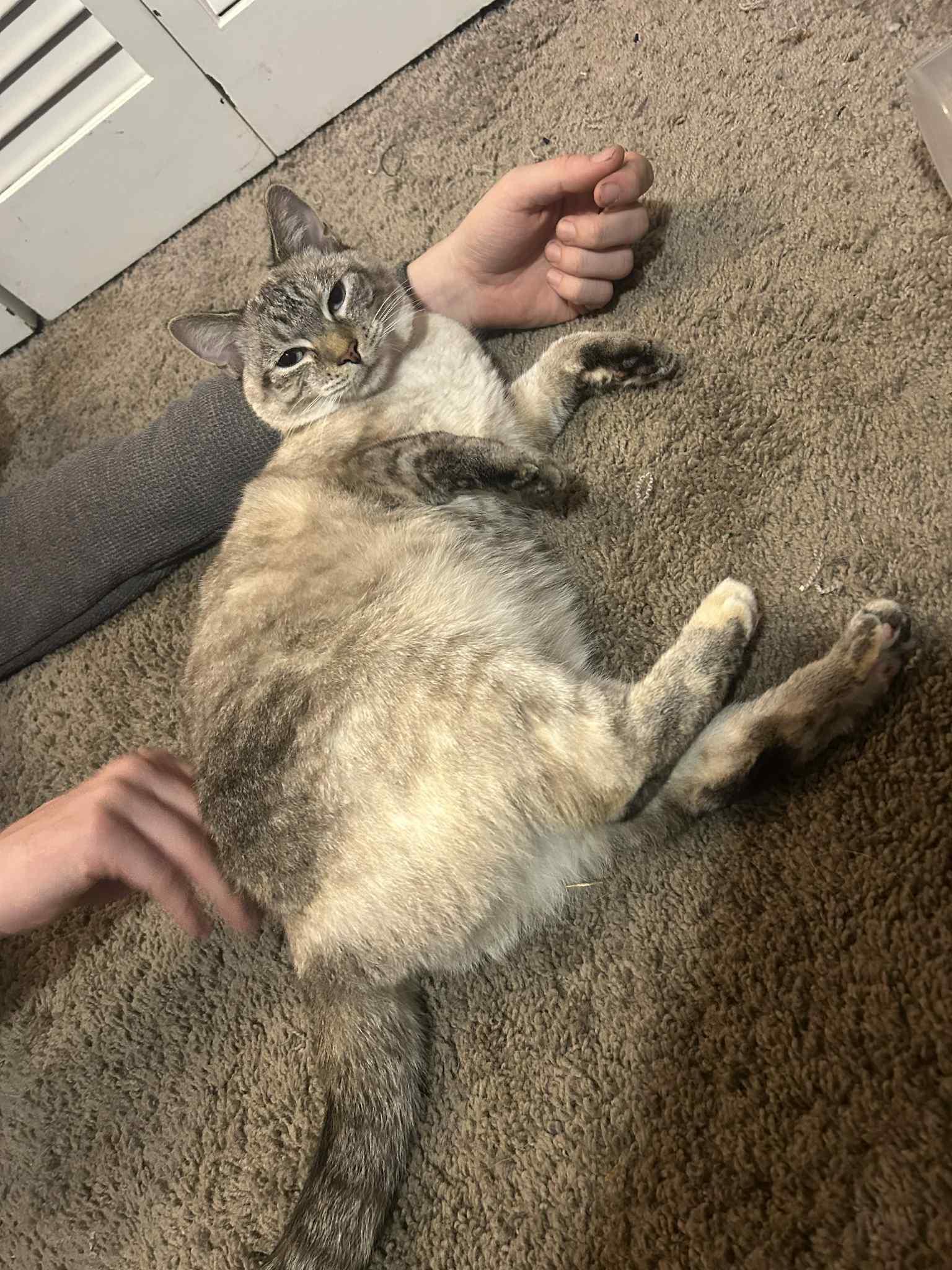 Root Beer thumbnail 2