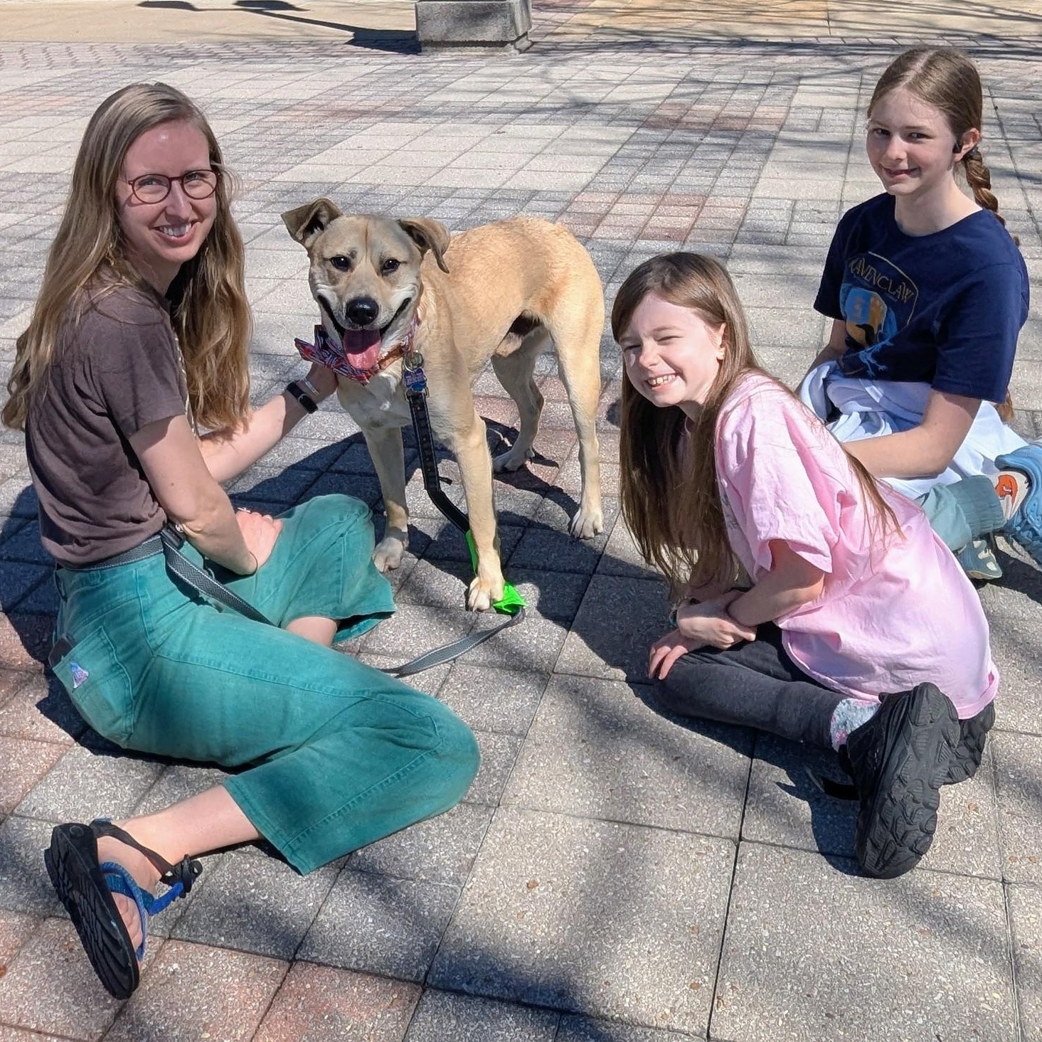 Enlarge Sojourn, a Adoptable mixed breed in Helena, AL image 4/5