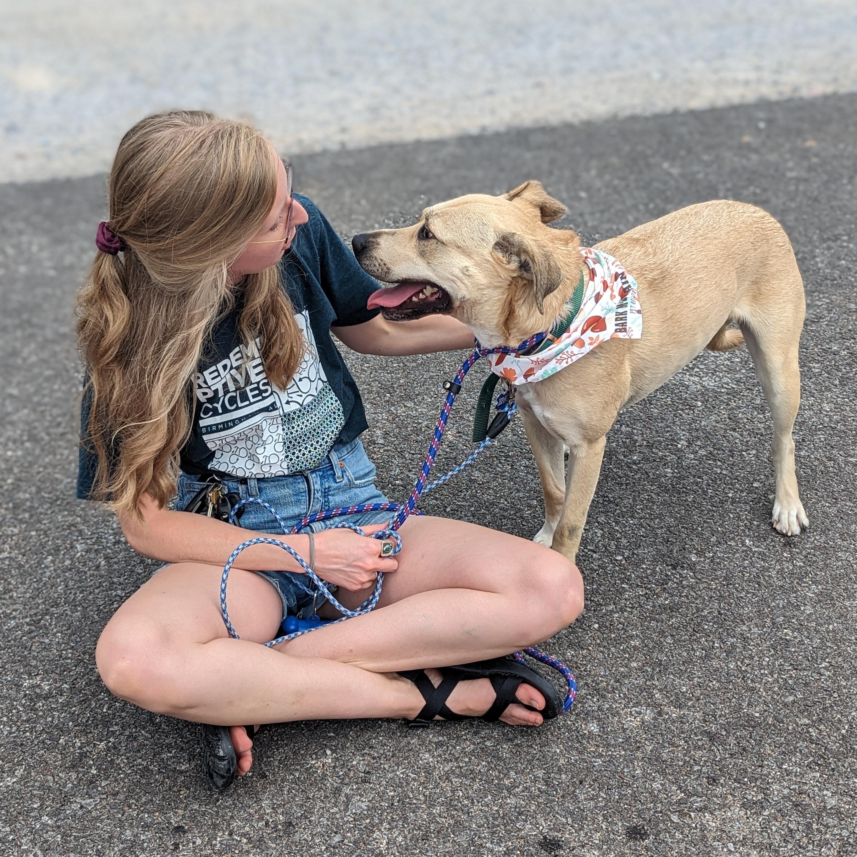 Enlarge Sojourn, a Adoptable mixed breed in Helena, AL image 3/5