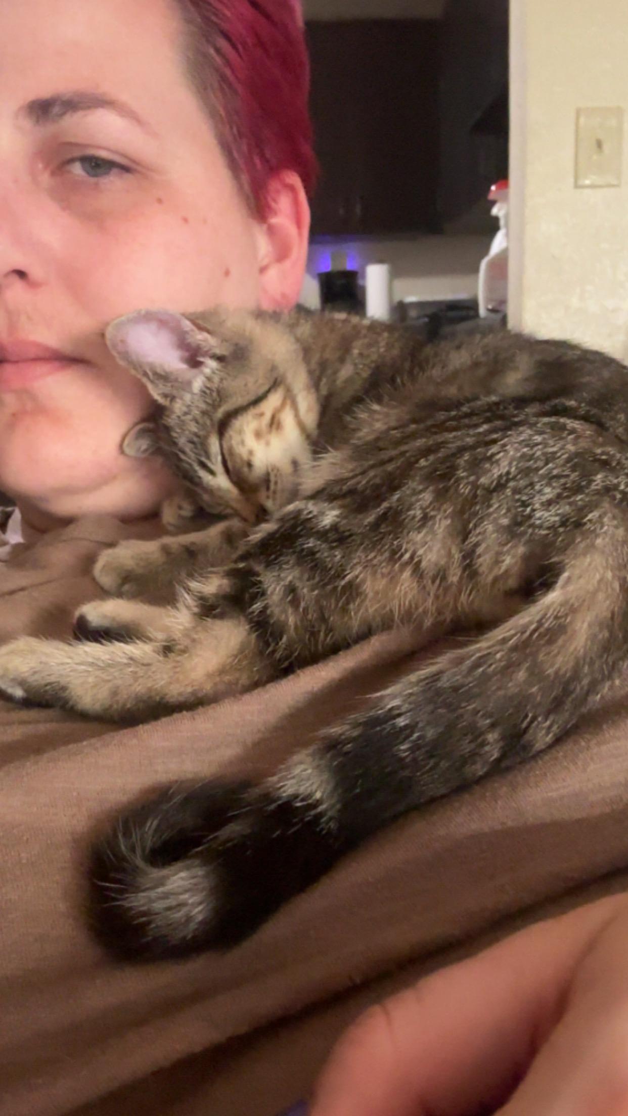 Moira Rose thumbnail 5