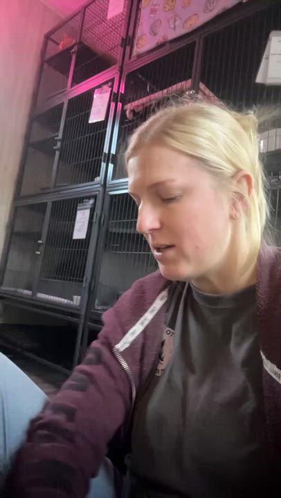 Enlarge HERSBERRY, a ADOPTABLE Domestic Short Hair in Tillsonburg, ON video 3/4