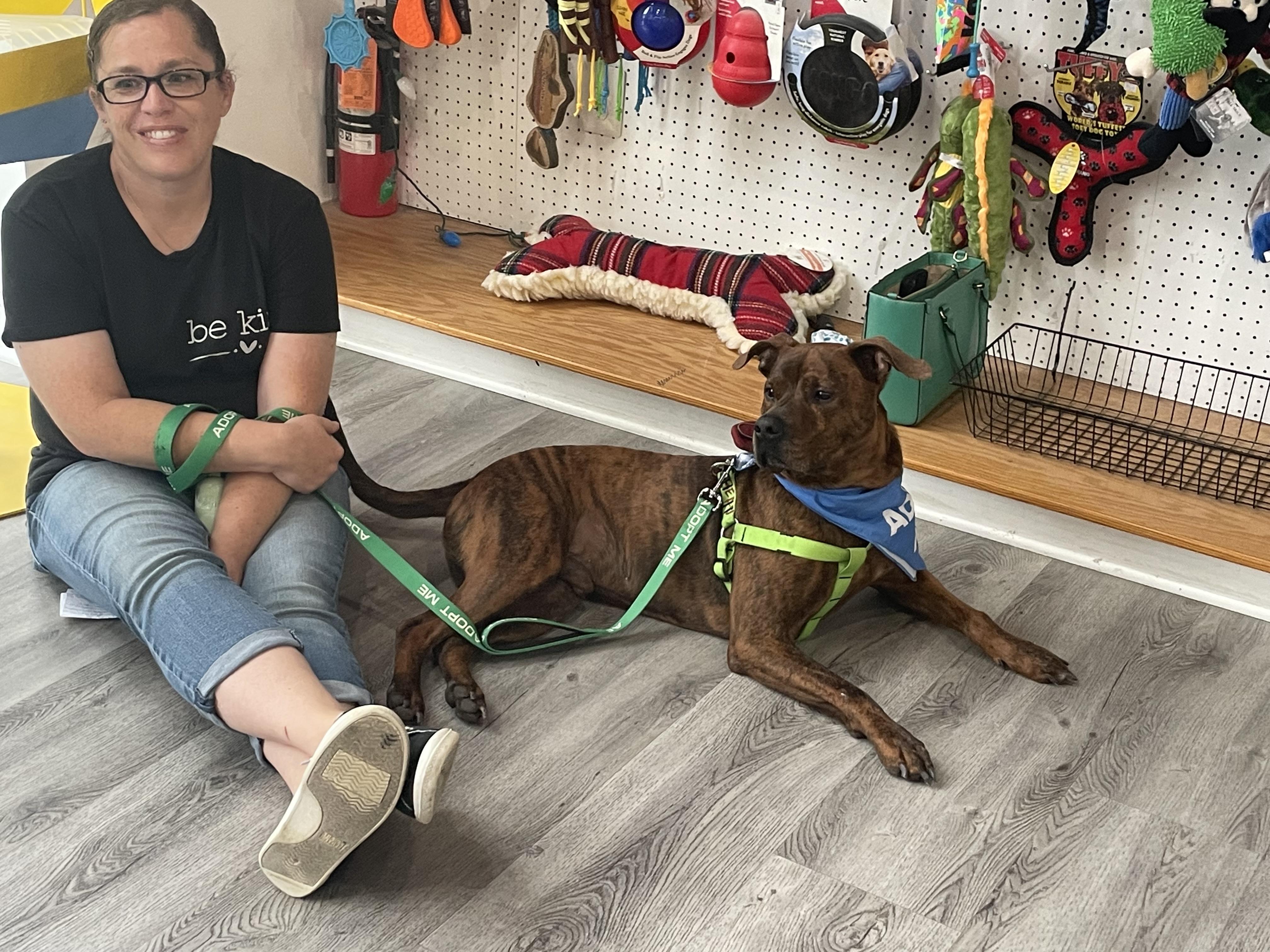 Copper, a ADOPTABLE mixed breed in Leesburg, VA image 6/6