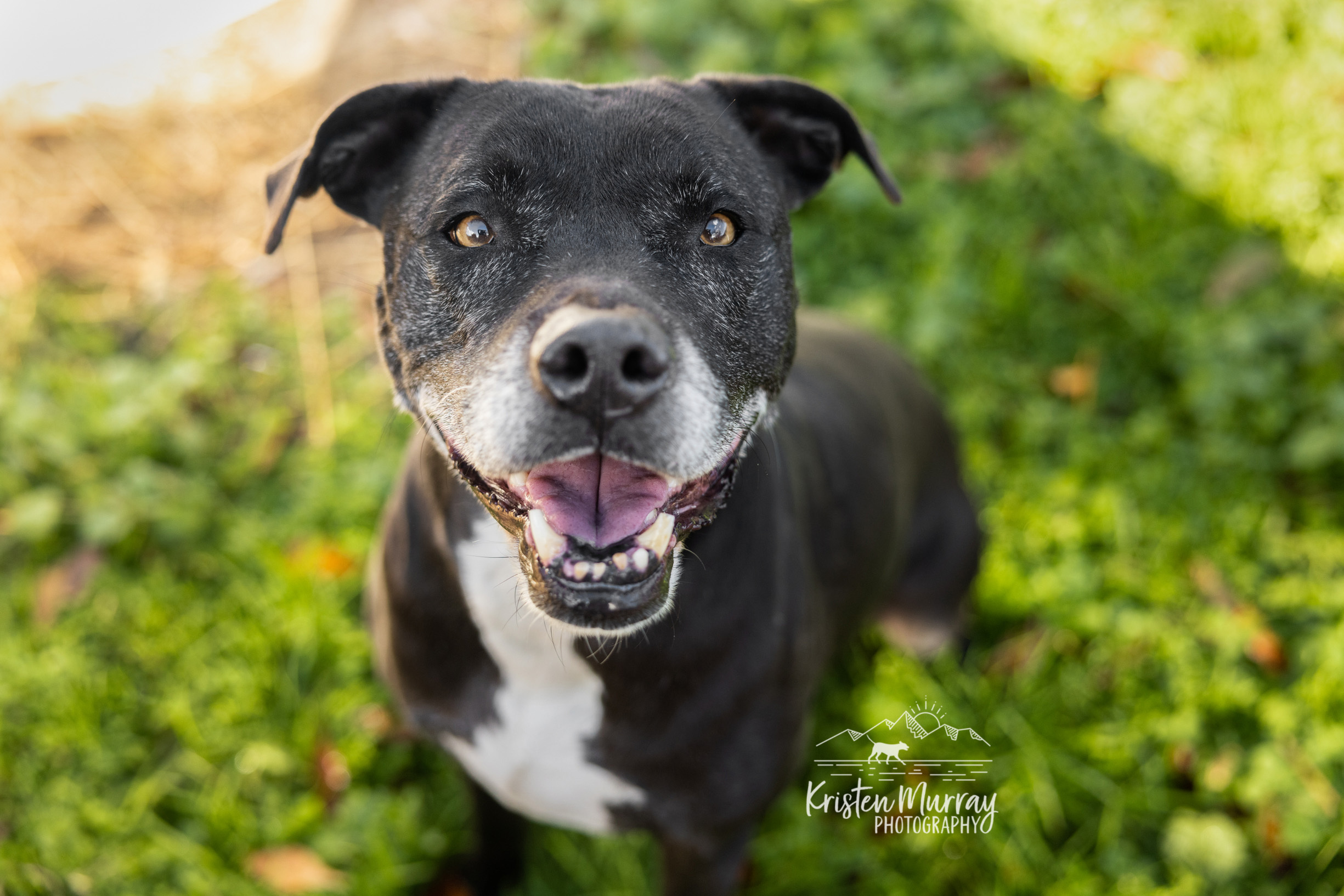 Belle - ISO special home photo 1