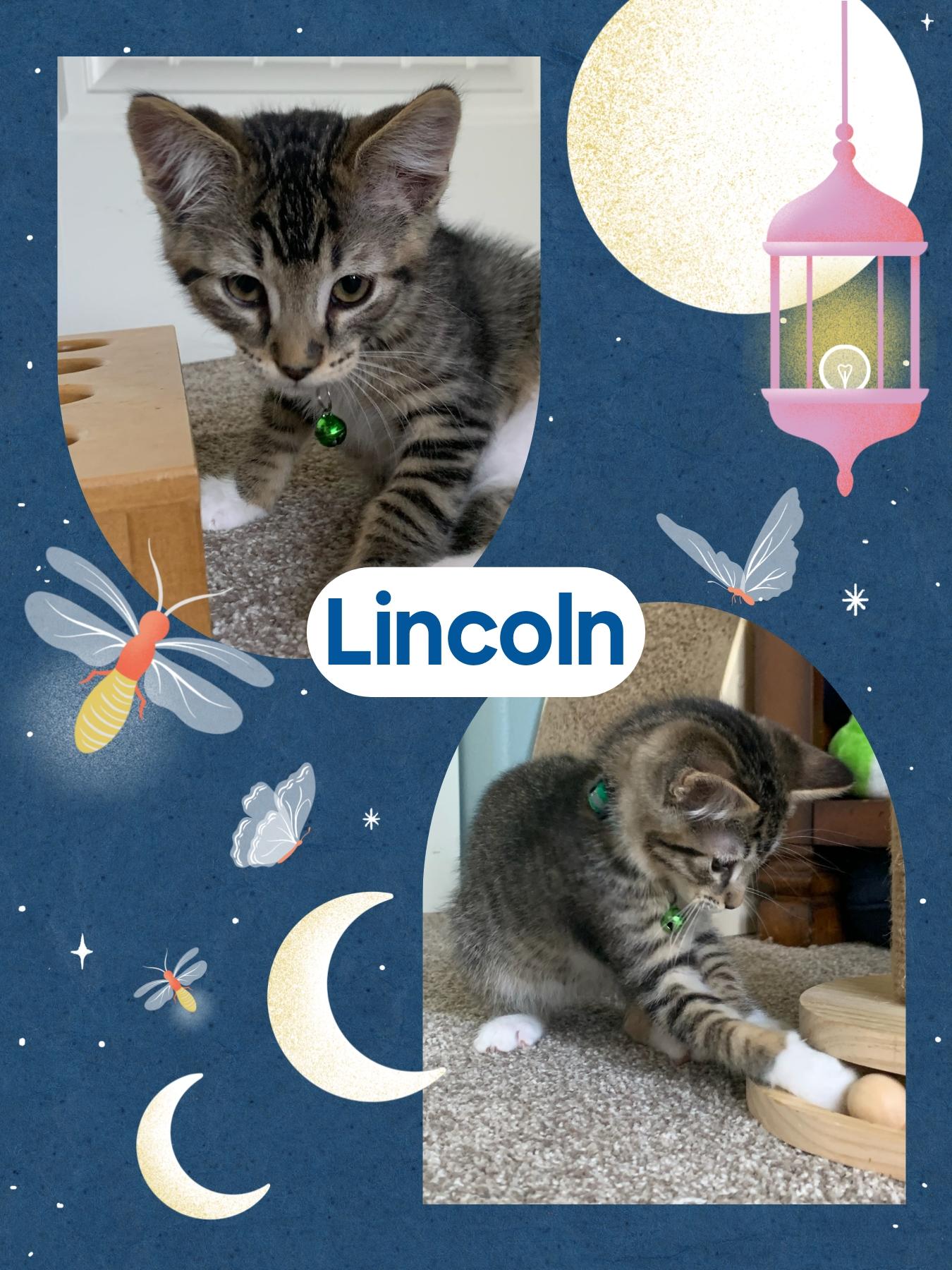 Lincoln