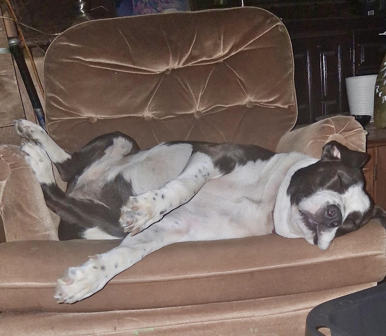 Freckles — thumbnail 3