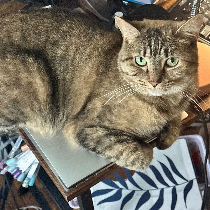 Emmy — thumbnail 2