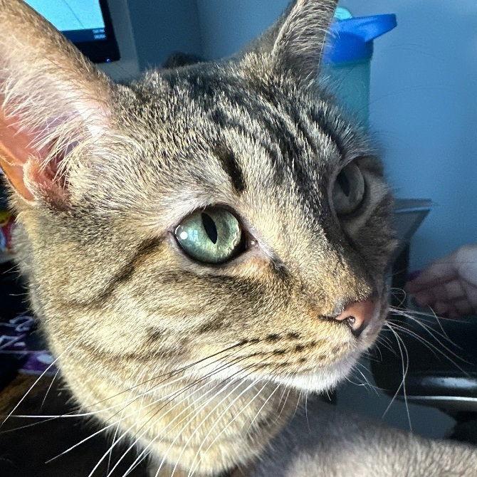 Emmy — thumbnail 3