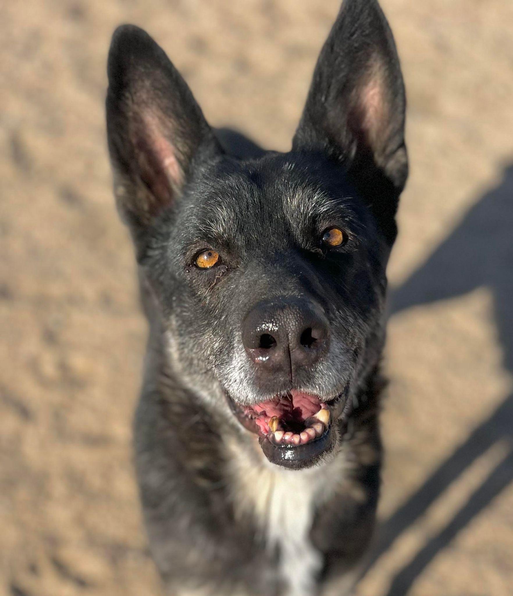 Lilli — thumbnail 3