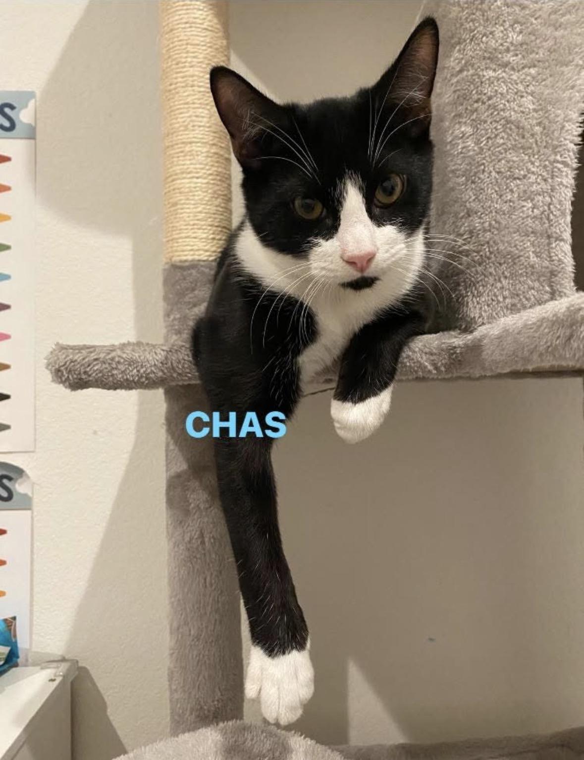 Chas