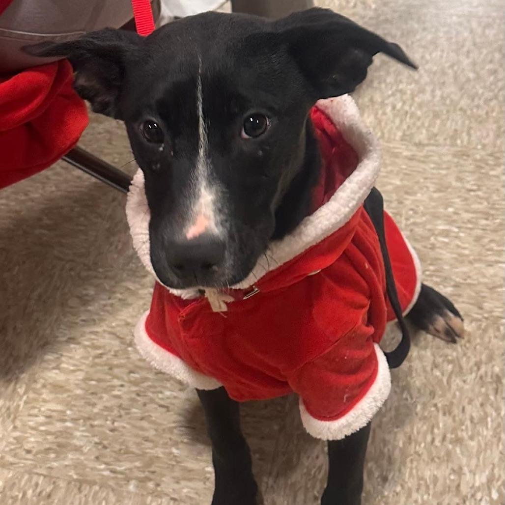 S'more — thumbnail 3