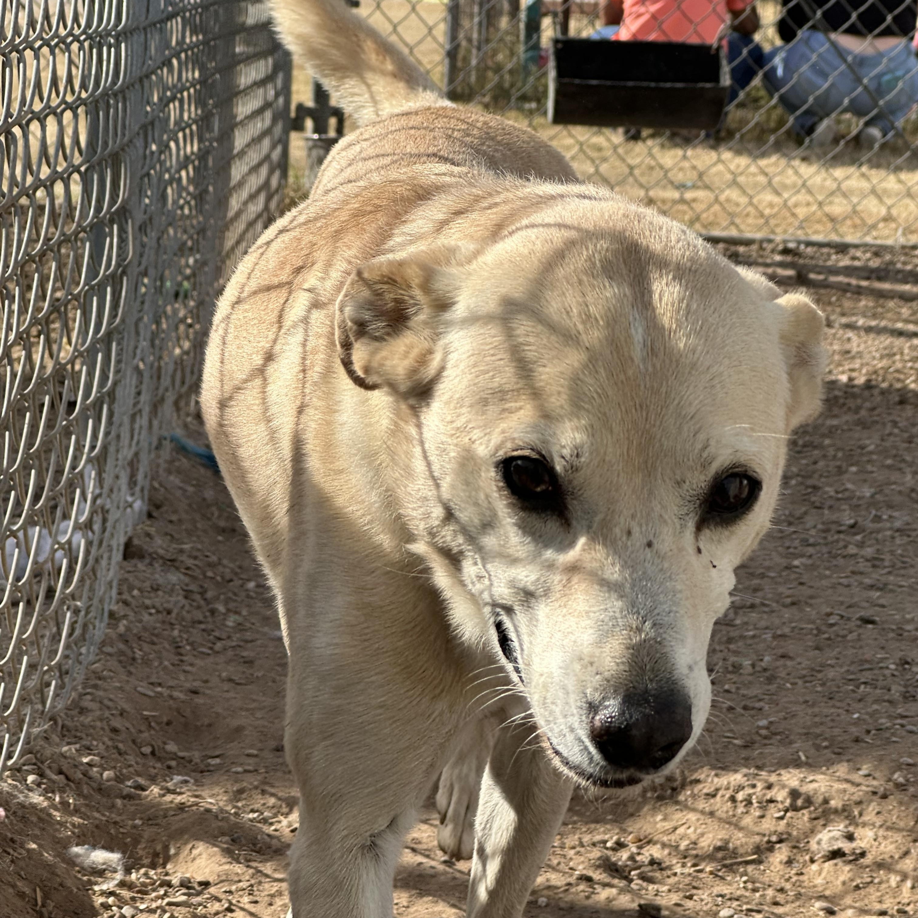 Sadie — thumbnail 3