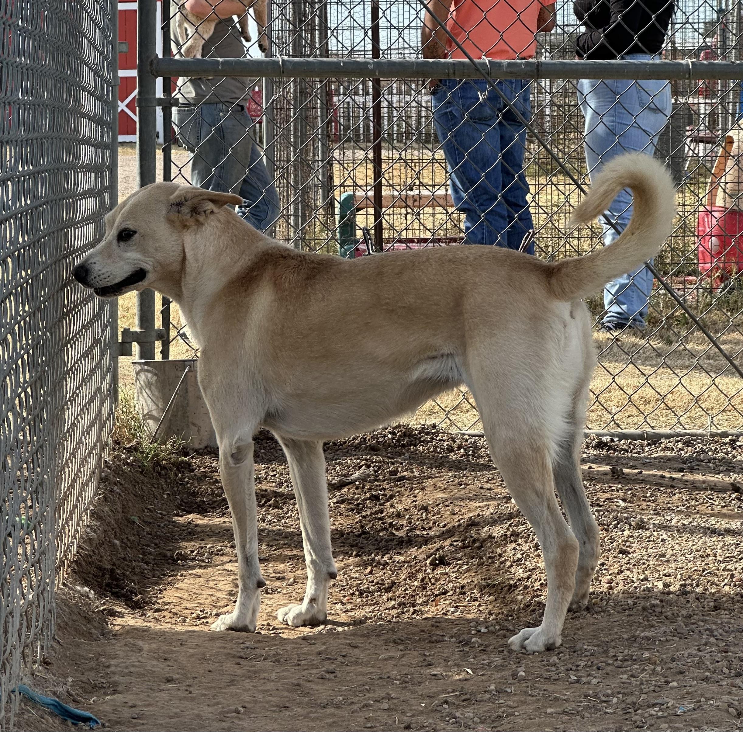 Sadie — thumbnail 5