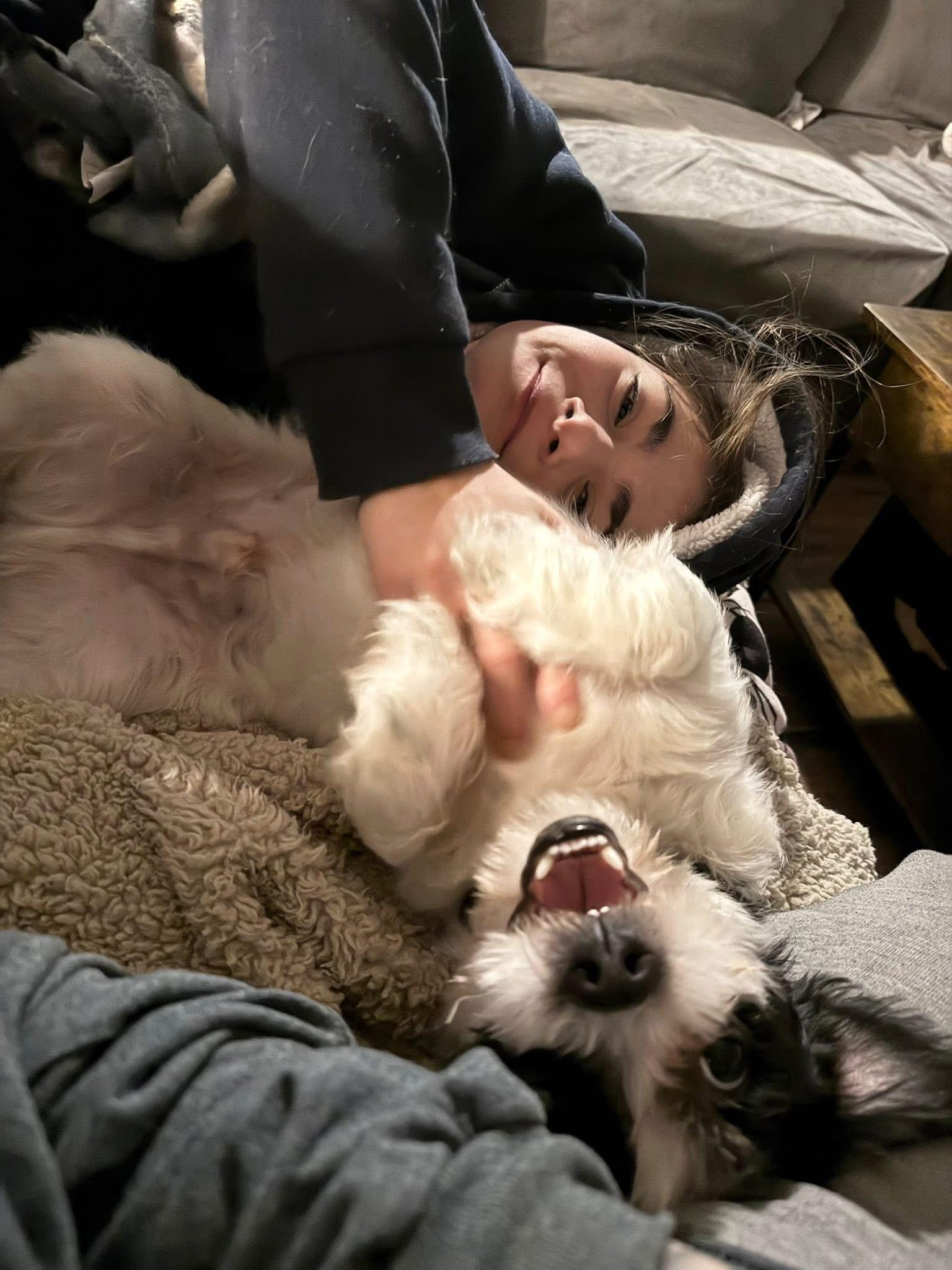 Enlarge Snoopy, an adopted mixed breed in Salamanca, NY image 2/4