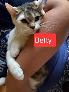 Derby, Archie , Opossum, Betty , Virginia (SC)