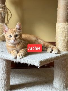 Derby, Archie , Opossum, Betty , Virginia (SC)
