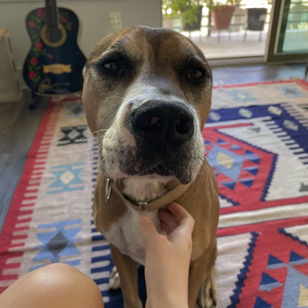 Tigger — thumbnail 3