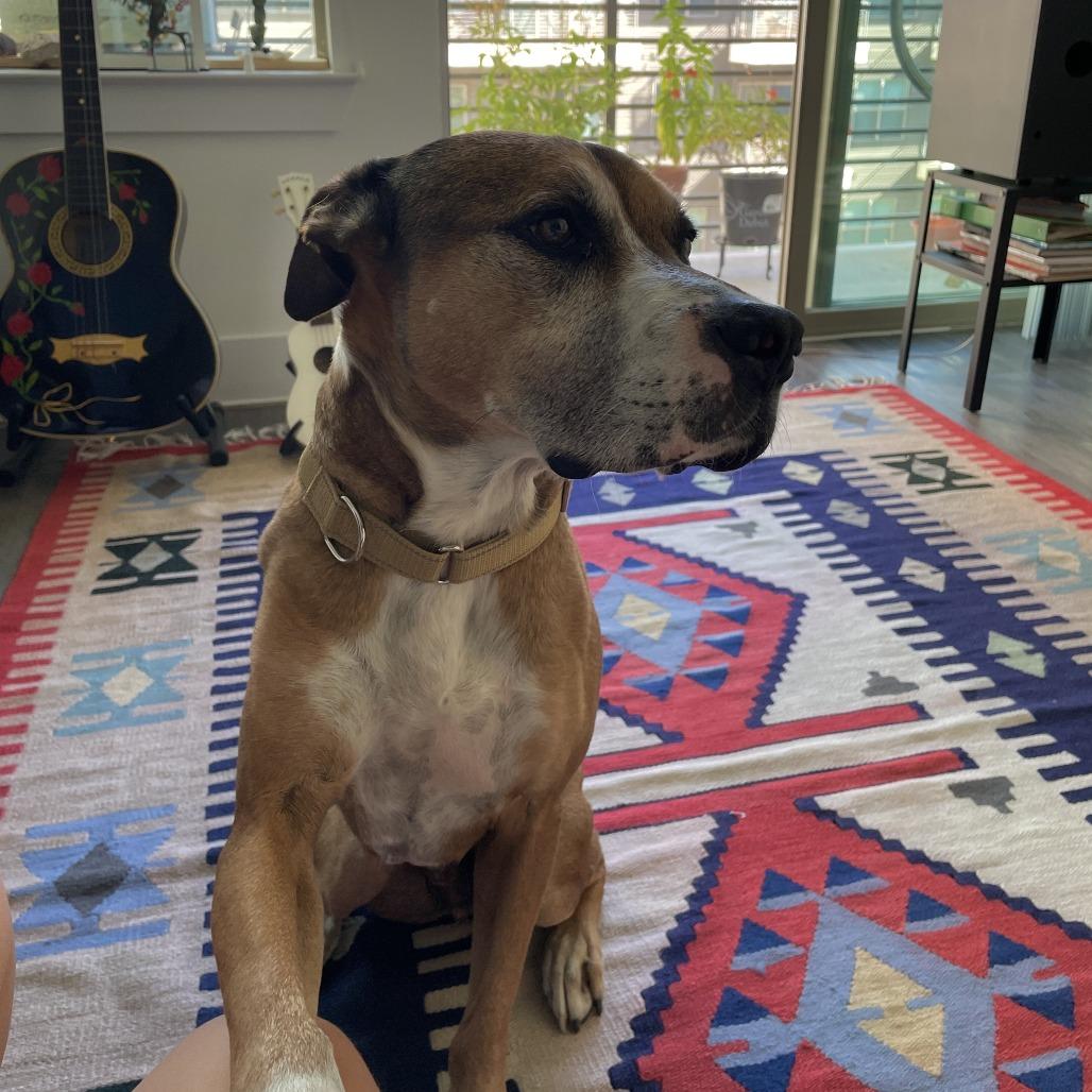 Tigger — thumbnail 4