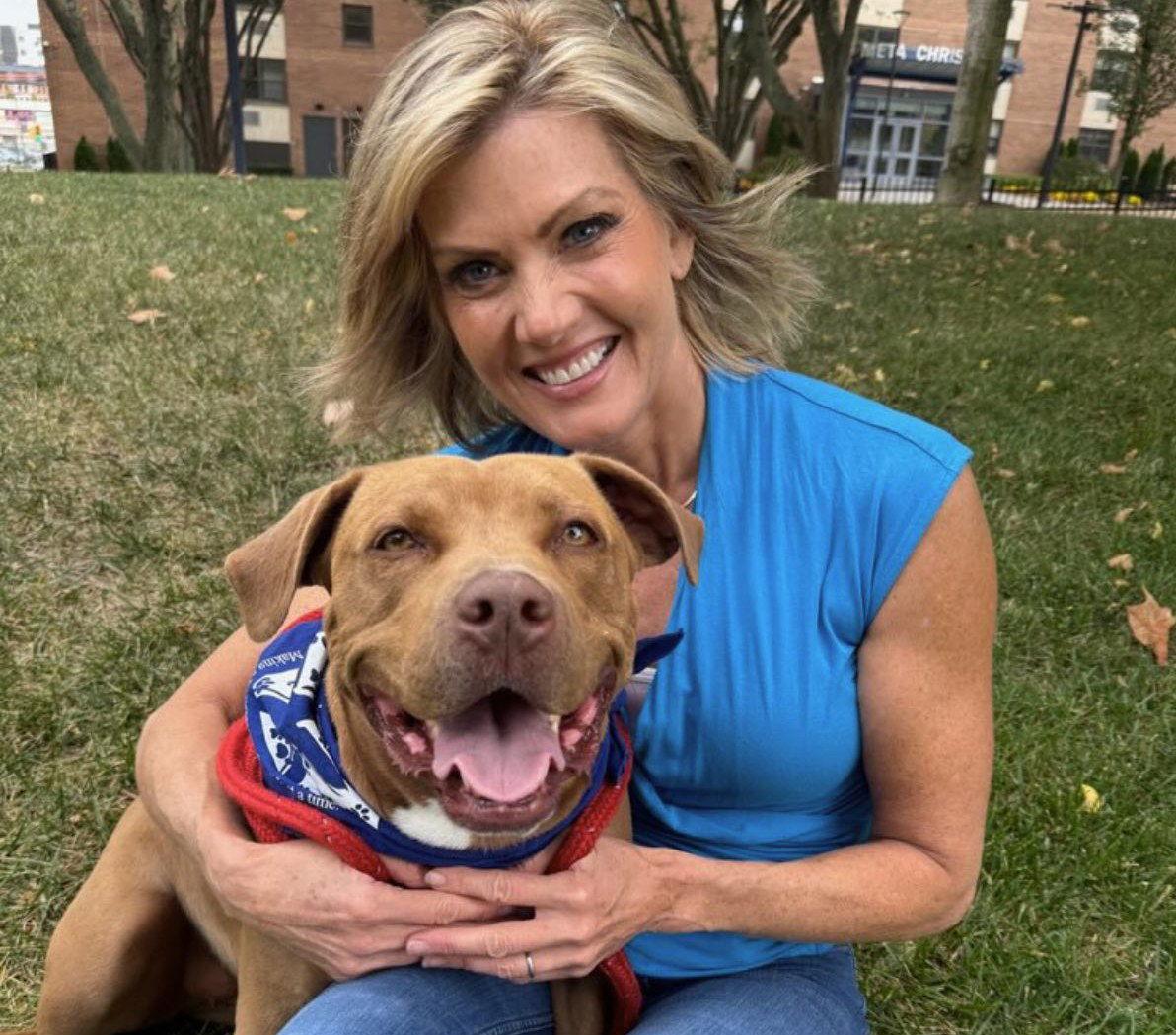 Enlarge Mileena, a Adoptable Terrier in Coatesville, PA image 3/3