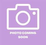 61610851, Adoptable, Kitten Female Domestic Short Hair.