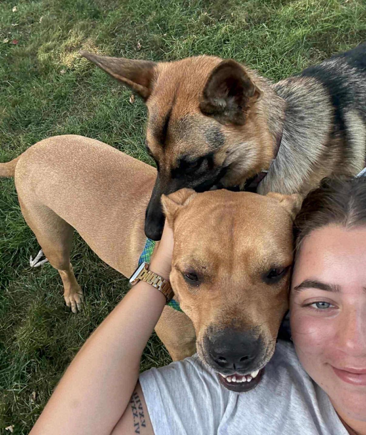 Enlarge SOS! Mateo - The Meatball! SOS, a Adoptable mixed breed in KENNEBUNK, ME image 3/6