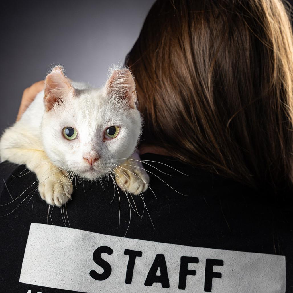 Rivian — thumbnail 2