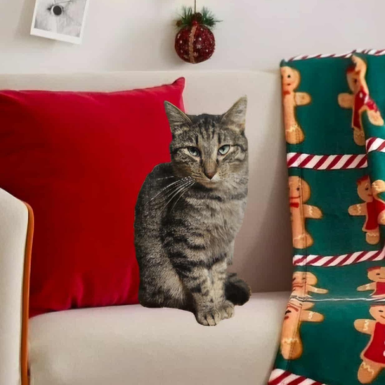 Max, a Adoptable Tabby in Claridge, PA image 2/4