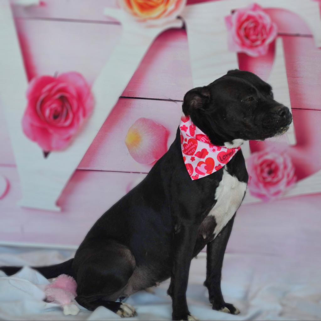 Skye JuM — thumbnail 6