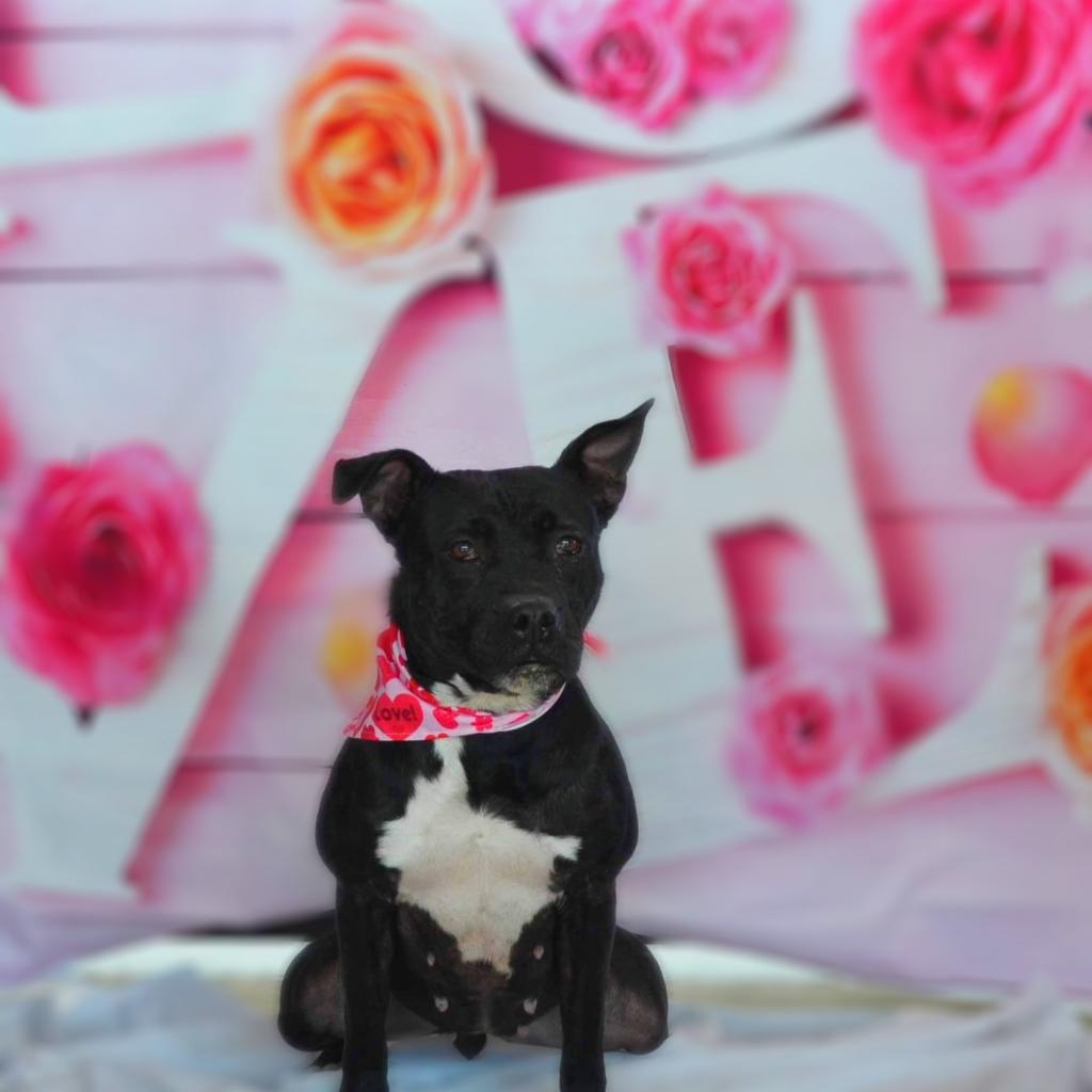 Skye JuM — thumbnail 7