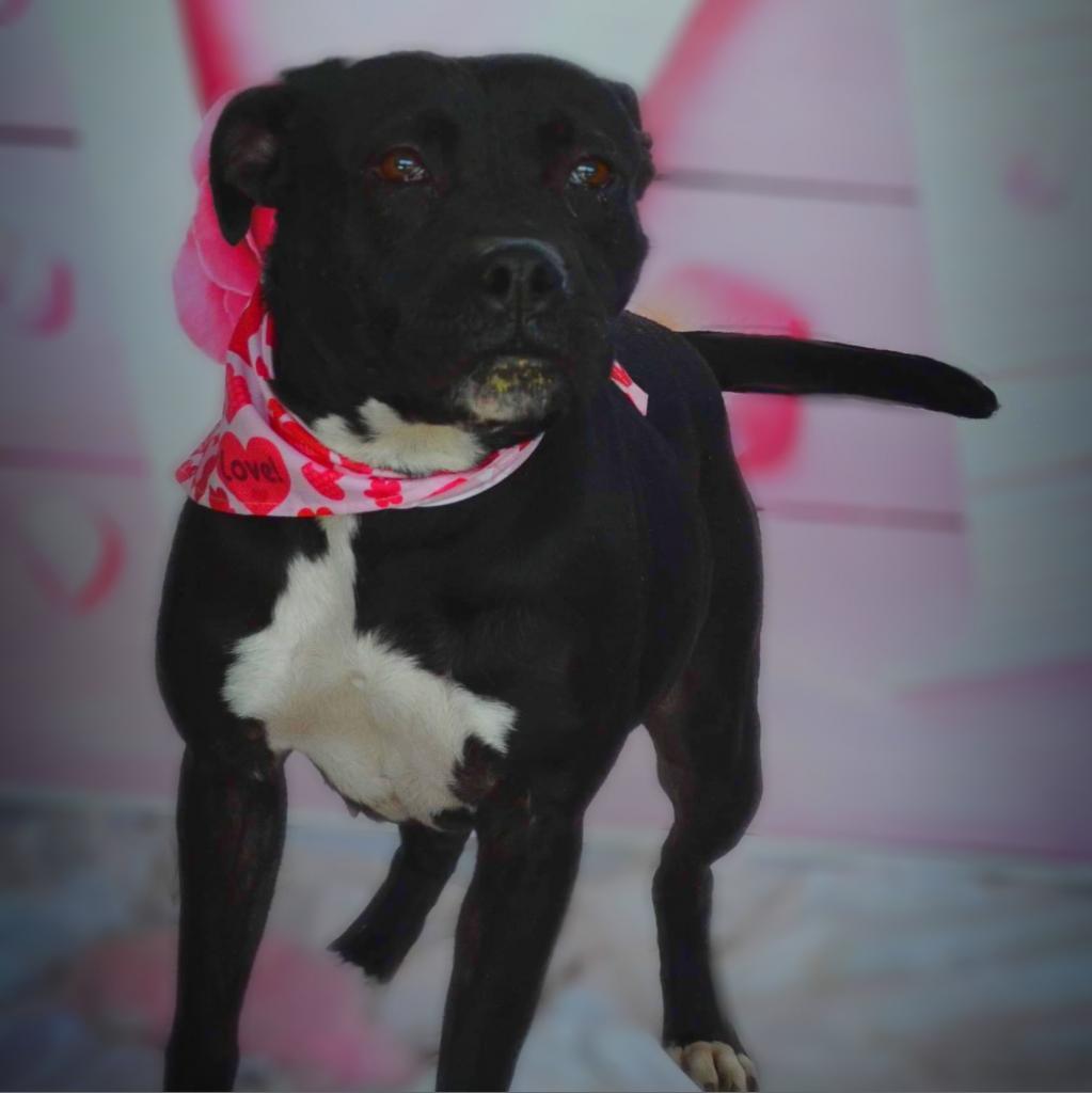 Skye JuM — thumbnail 8