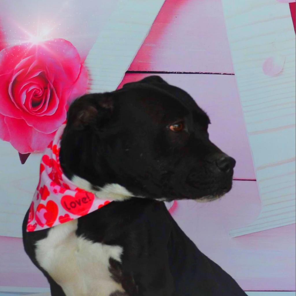 Skye JuM — thumbnail 9