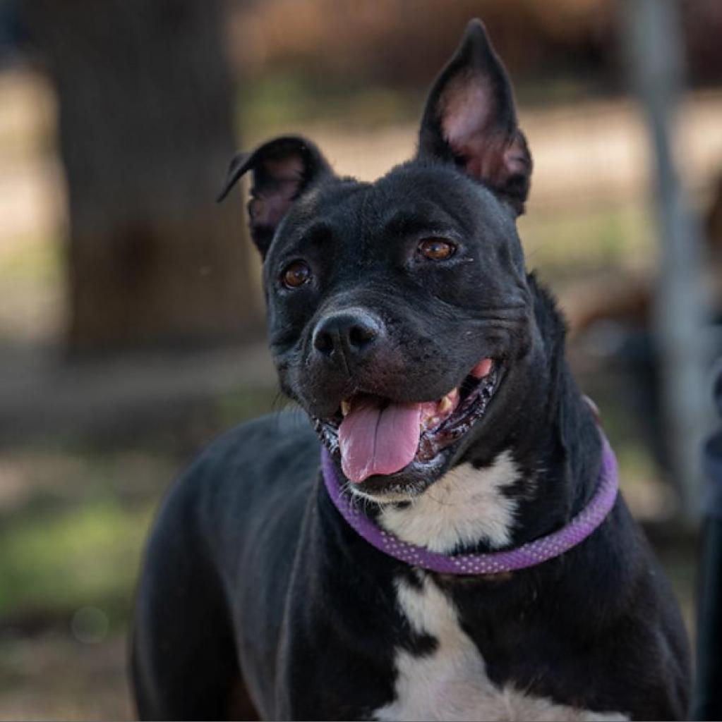 Skye JuM — thumbnail 10