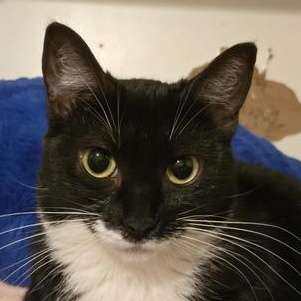 Star — thumbnail 4