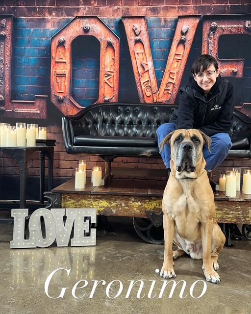 Enlarge Geronimo, a Adoptable mixed breed in Chicago, IL image 5/6