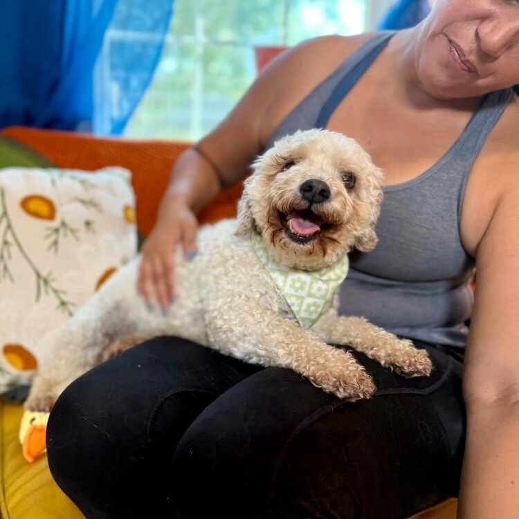 Bailey — thumbnail 2