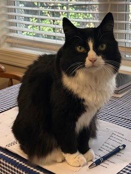 Jane — thumbnail 3